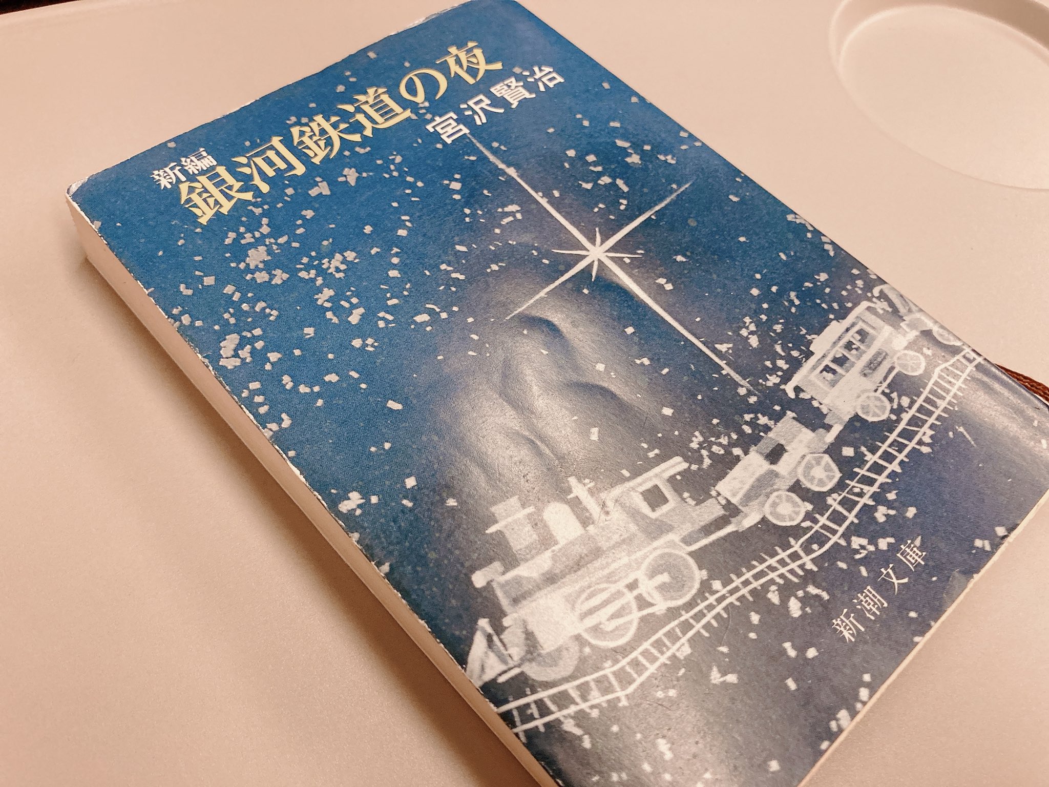 岸田奈美 作家 11月22日開催 キナリ読書フェス の課題図書 銀河鉄道の夜 を わたしも感想文の見本を書くためにもう一度読んでたけど 書評家さんが 作者の人格や経歴について知れば知るほどおもしろい と言うので おもむろに宮沢賢治の故郷行きの