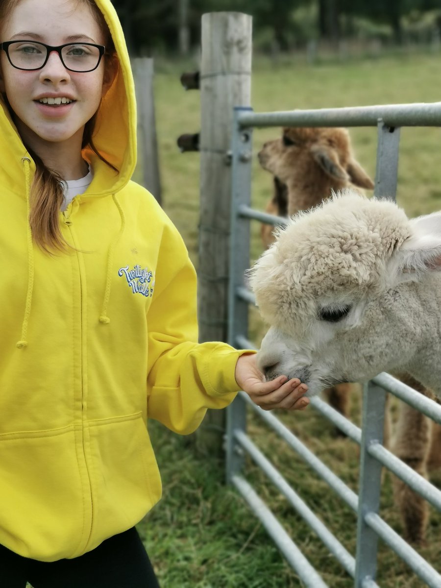 Ah, delighted that our <a href="/MarieCurieSCO/">Marie Curie Scotland</a> partnership with <a href="/BobCatAlpacas/">BobCat Alpacas</a> was #HighlyCommened for "best innovation in virtual events" <a href="/FundEverywhere/">Fundraising Everywhere</a> 2020 Awards. Lots of love and passion from everyone involved 💙🥇💙🥇