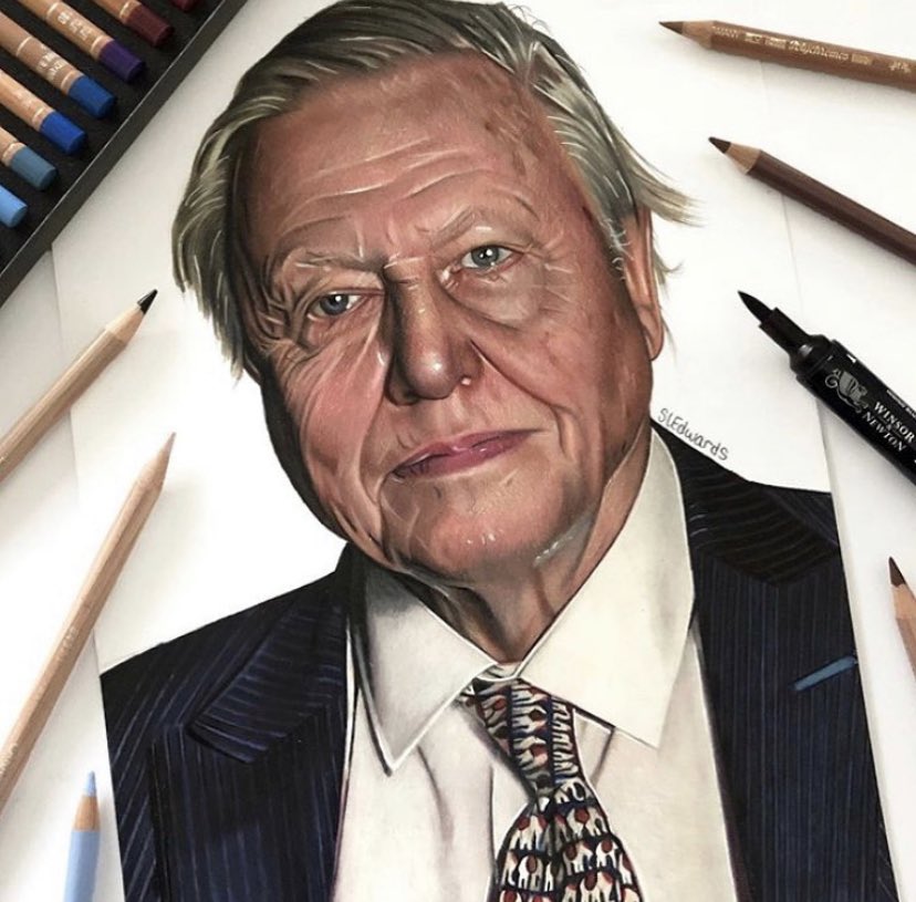 creative_a_r_t's tweet photo. Drawing I did of David Attenborough. Please share 🙌🏻 https://t.co/3OlyQcQx2x