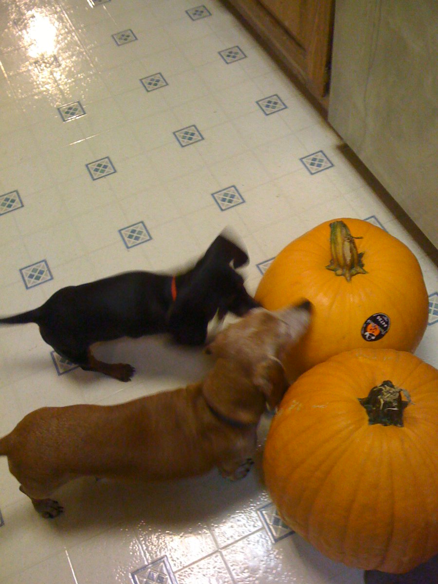 SLA Texas Community tweet media