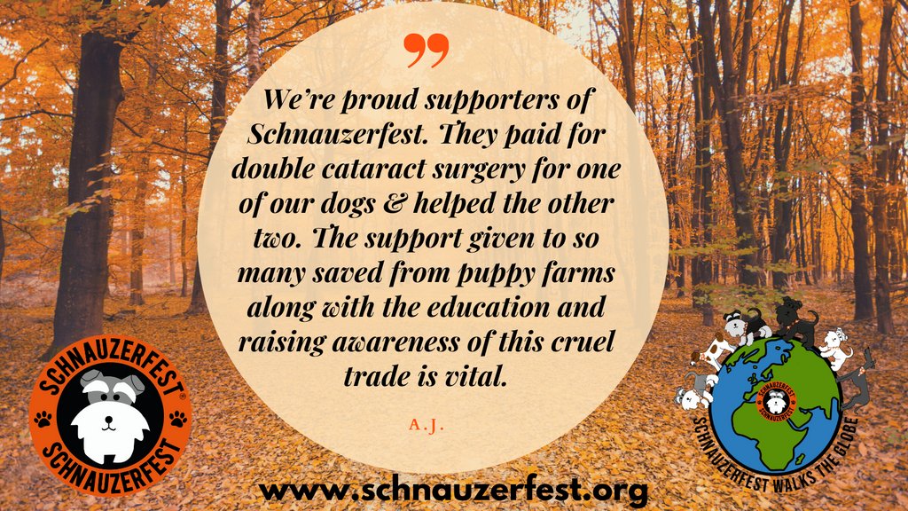 Myrtle knows how bad it is to live in a puppy farm. She's helping her humans to walk their pledged miles for #SchnauzerfestWTG 

We have a lot of miles to go to hit the target but will give it our best shot for dogs like Myrtle &amp; her sisters. Join us here: buff.ly/2Hv30UK