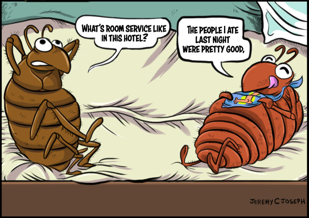 AllstatePestSol's tweet photo. Don't let bedbugs get cozy with you! Through targeted chemical treatments or advanced heat treatments, our techs at Allstate Pest Solutions can protect you and your family. Trust the best. Trust Allstate.
800.240.4765 https://t.co/vB6fl6UDWB