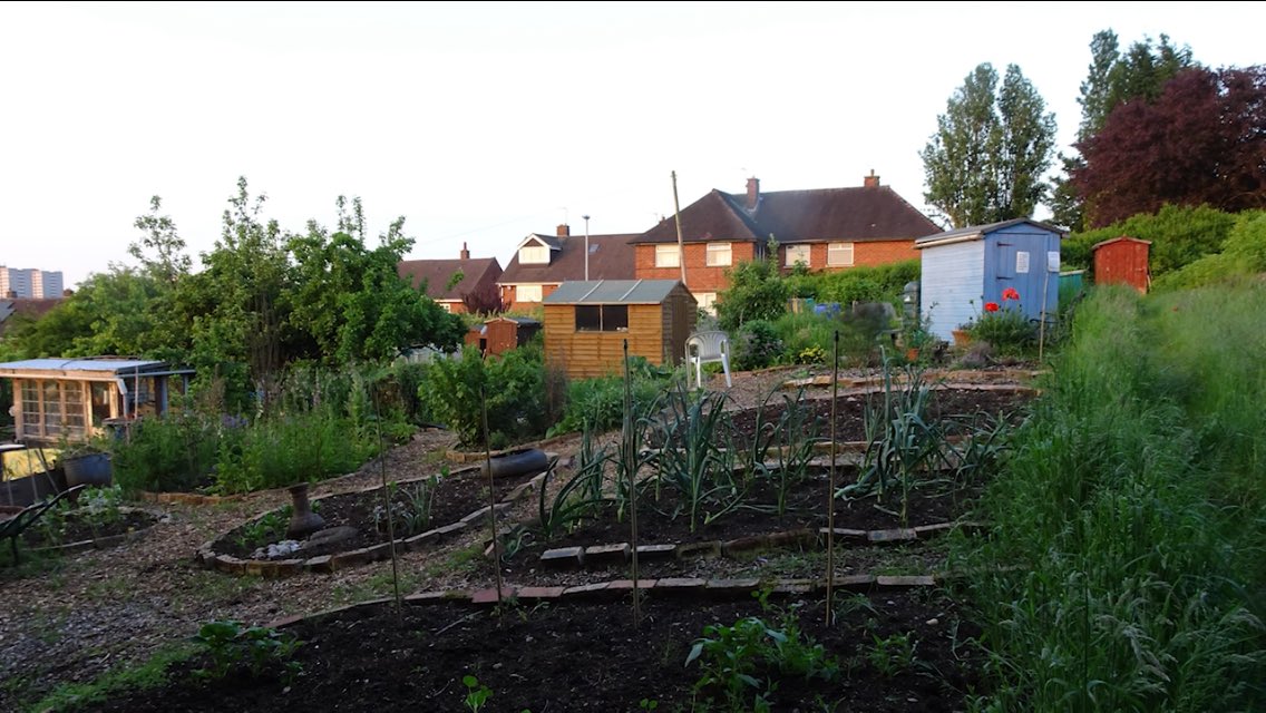 artsandhealth's tweet photo. Thankyou for the lovely write up about @boundaryway ‘s poetry commission with @pandemonialists - part of #postcardsfromtheplot - making connections during social distancing - Thankyou to emergency funding from @HeritageFundUK #boundarywayproject https://t.co/S3ut99Zdfi