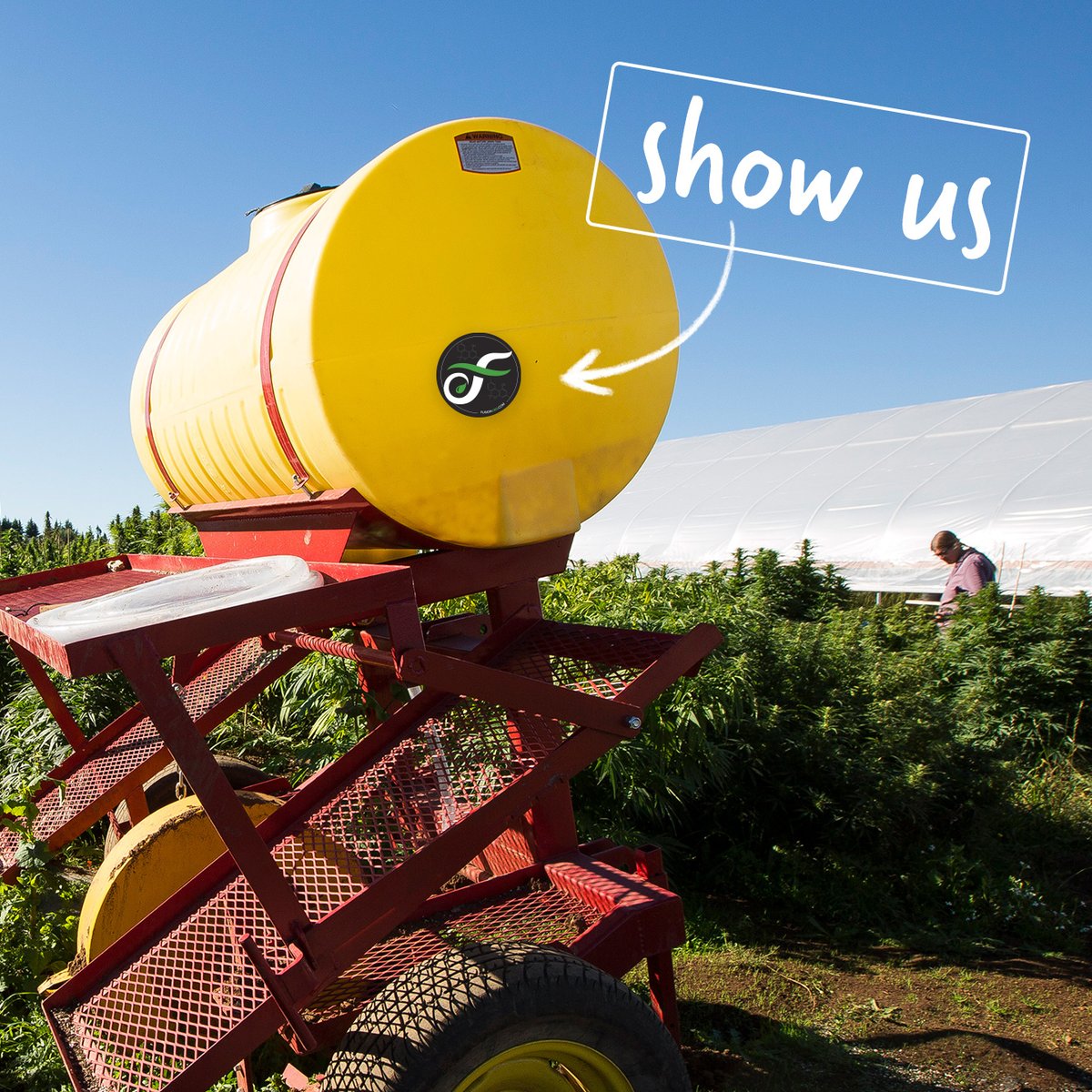 Fusion CBD tweet media