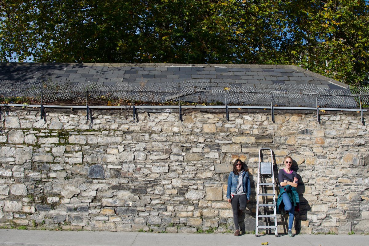 These are my friends Pia and Ashe. We love the Liberties and are raising kids here despite all its shortcomings: traffic, a plague of student housing, chronic lack of green spaces, poor air quality etc. Then on Sunday we walked down with a ladder and peered over that wall