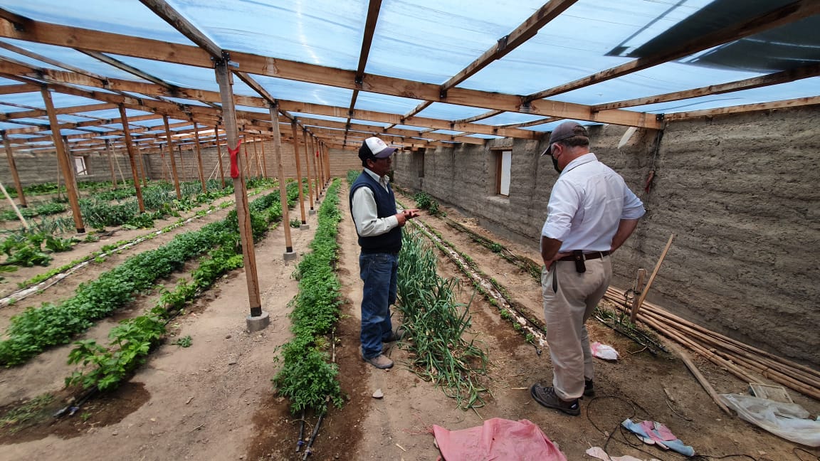 MinagriTarapaca's tweet photo. El Seremi Fernando @Chiffelle visitó en #Colchane a Felino Challapa, agricultor de #Cotasaya, quien mantiene cultivos bajo invernadero de adobe, cosechando lechugas, melones, apio, entre otras hortalizas. Junto a su familia desarrollan otros proyectos para incrementar producción https://t.co/6b9d6brLWE