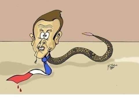 Inumb5's tweet photo. @EmmanuelMacron Definitely a heart of an animal https://t.co/asi323q5F8
