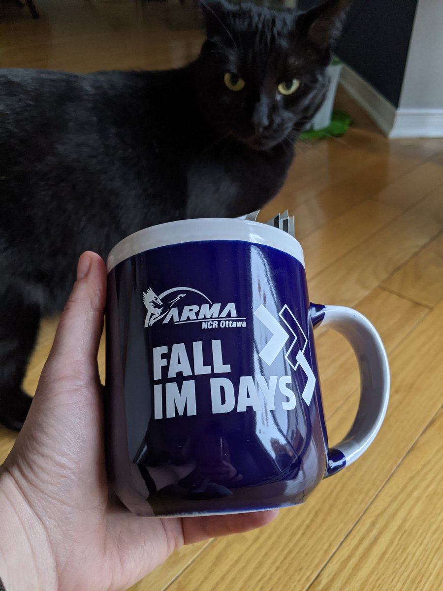 ARMA_NCR's tweet image. We went with mugs. As shown in this picture feat. an IM kitty (reluctant) model 😸 #IMkitty #starinthemaking