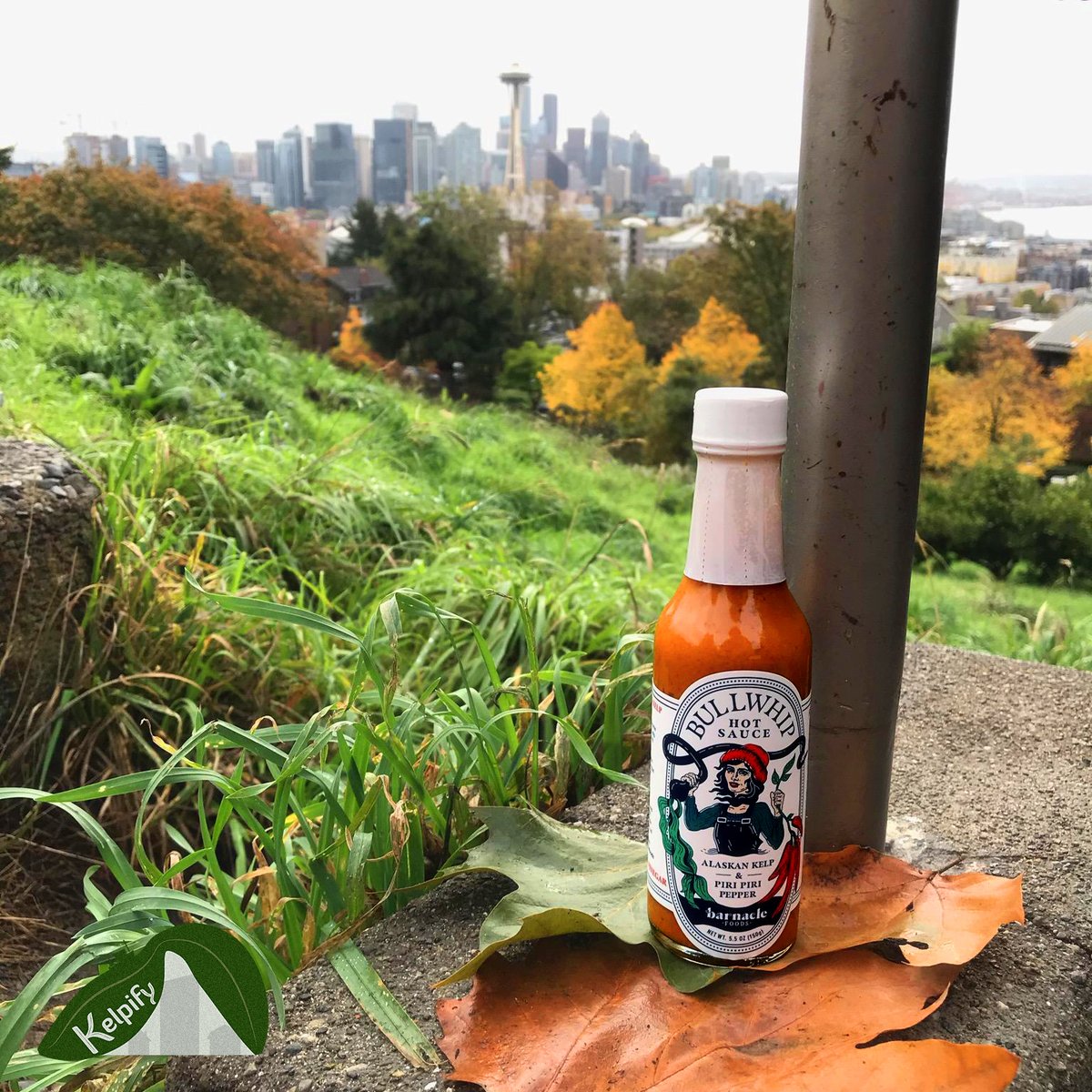 KelpifyMarket's tweet photo. Winter is coming! Warm your body by adding a little heat to your foods. Bullwhip kelp hot sauce available now. https://t.co/ONJx7FQXZL
#kelpify #kelp #seaweed #hotsauce #eathealthy #HealthyFood #extreme #nature #oceanlife #seaweedproducts #thinkoutsidethebox #global #future https://t.co/HImz6eEXFc