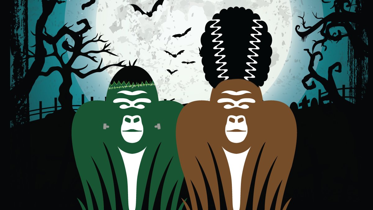 gorilla film production software gorilla film production software