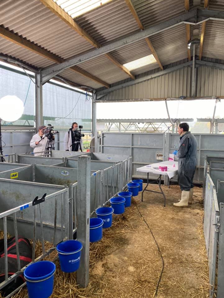 nimrodvet's tweet photo. Very grateful to @Hartpury for having us today and helping us with filming for our new marketing materials. So nice to be out on a farm with livestock! Keep your eyes peeled 👀 for our new SELEKT System website coming soon! Thanks to @FluxxFilms for their hard work @SelektSystem https://t.co/75znvDEmtY