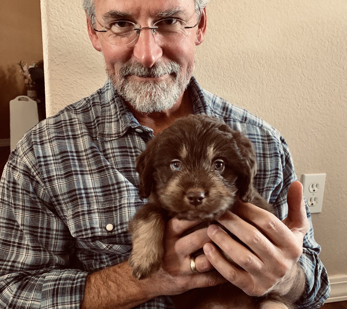 johnblase's tweet photo. Meet Arlo. He belongs to my daughter and her boyfriend. But he’ll do sleepovers at my place from time to time.
#aussiepoo https://t.co/Q7zQnrPUMM