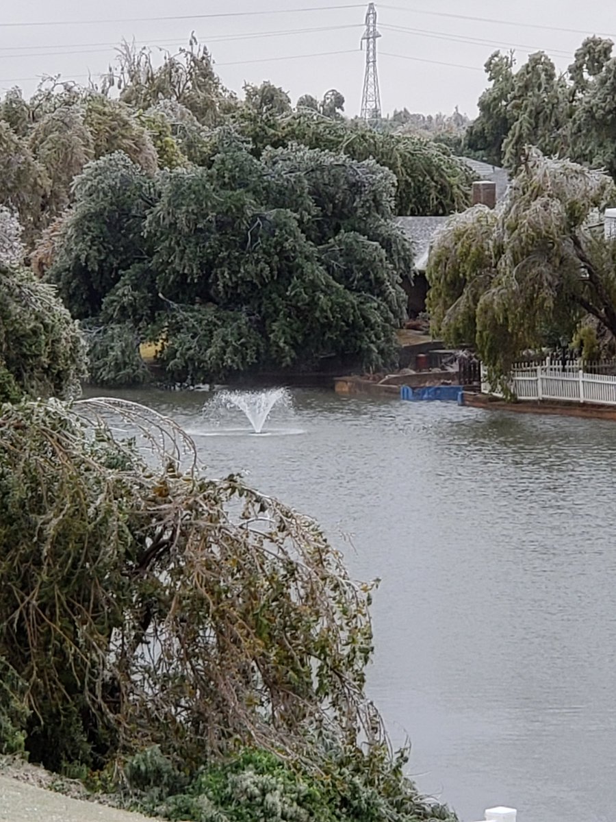 Current situation! Guess I shouldn't have taken my Christmas tree down last month🤷🏾‍♀️🤦🏾‍♀️ #staywarm #myview