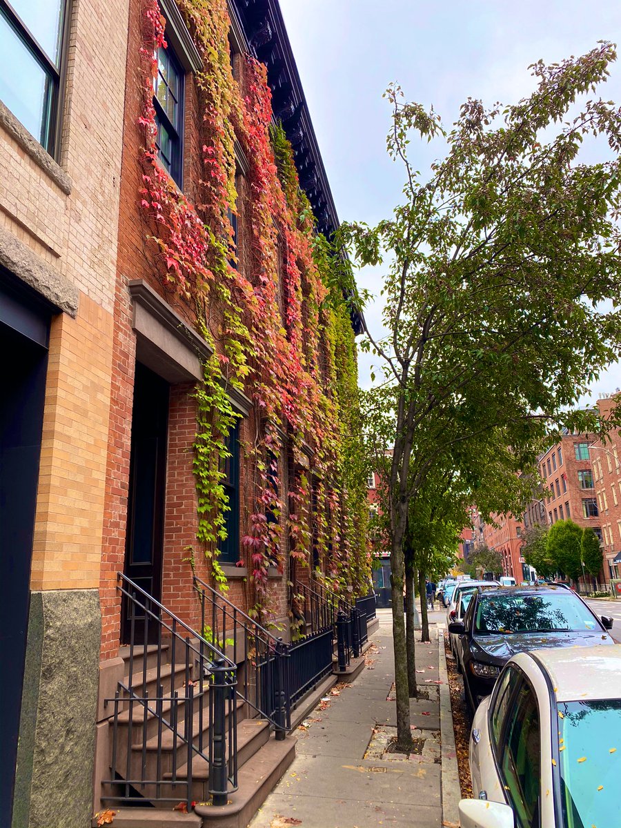 Spotted this autumn-covered home in the west village earlier today 