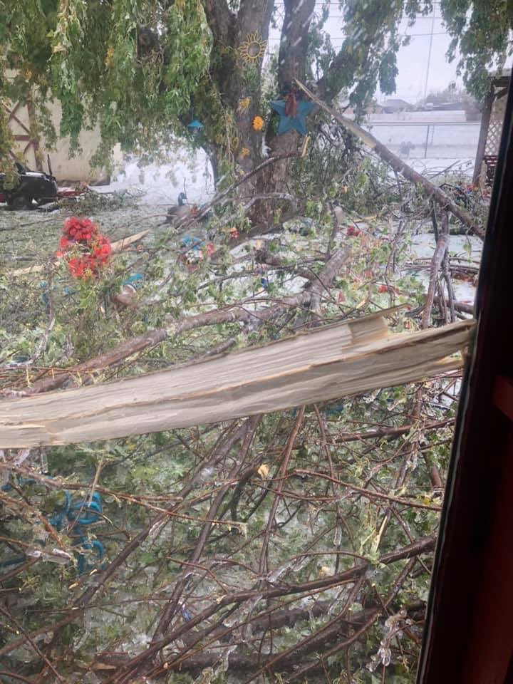 emilyrsutton's tweet photo. Major clean up in Cyril.
📸: Darla Kalene Brookshire
#okwx #icestorm #RIPTrees https://t.co/aERCPUN2FI