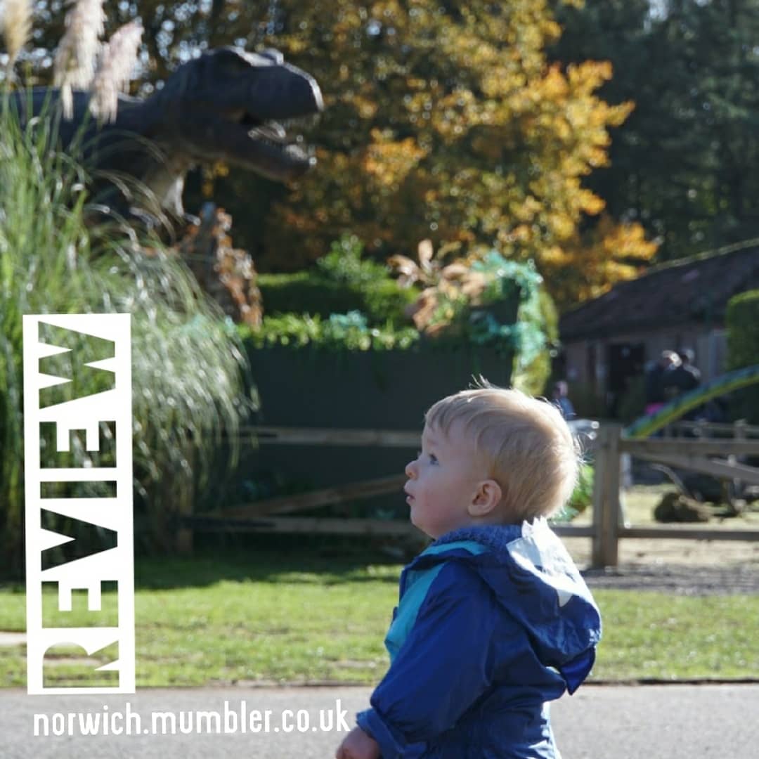 Spot the T-Rex...
We popped along to @roarr_dino to see what Halloween activities they have on this October #halfterm 

#whatsonforfamilies #norfolk
norwich.mumbler.co.uk/mumbler-review…
