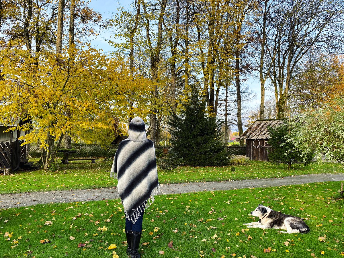 MotherSonDuo's tweet photo. 100% wool poncho with hood in our #etsyshop 🤩 @Etsy #etsy #EtsySeller #etsyhandmade #gifts link - https://t.co/ijlxj8PVEa… #poncho #woolen #like #love https://t.co/VwAZhd4RBf