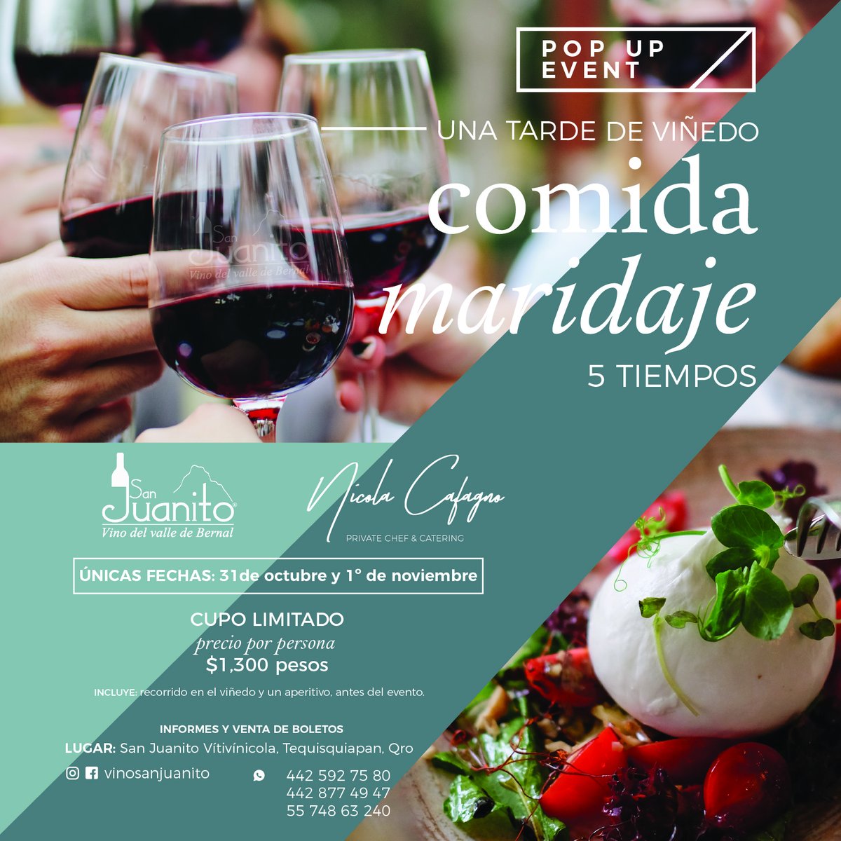 KAO84's tweet photo. Evento en viñedo @vinosanjuanito, al aire libre y con sana distancia este fin de semana. Vale muchísimo la pena! @ChumelTorres https://t.co/0Sz5Jf9vbS