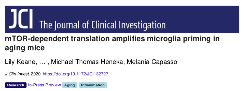 LilyKeane's tweet photo. This paper has been a journey for me from research technical to PhD to postdoc from London to Germany to Sweden. I am so happy I can finally share it with all of you! #mTOR #microglia #priming #ageing 

https://t.co/TcZJzZQZBl https://t.co/xPN7V5c2cv