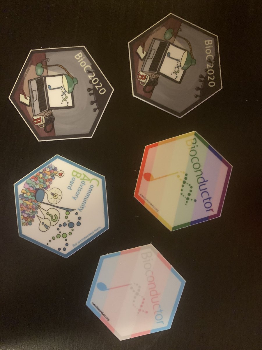 lcolladotor's tweet photo. Thanks @AedinCulhane Simone, @CSoneson et al from the #BioC2020 organizing committee ^^
Thanks @jo_rainer et al for the designs 💯 https://t.co/Juwy039JID