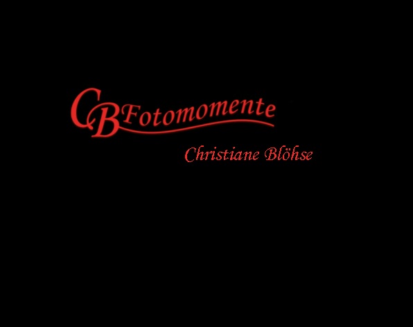 BFotomomente's tweet photo. Nun bin ich auch auf Twitter und habe erstmal keine Ahnung wie das hier läuft. Aber so ist es bei allem neuen. 
#neuhier #cbfotomomente #photograghy #lübeck https://t.co/hsZyrgW6Be