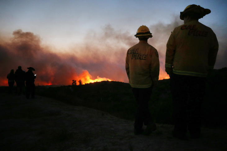 West Coast Lung tweet media