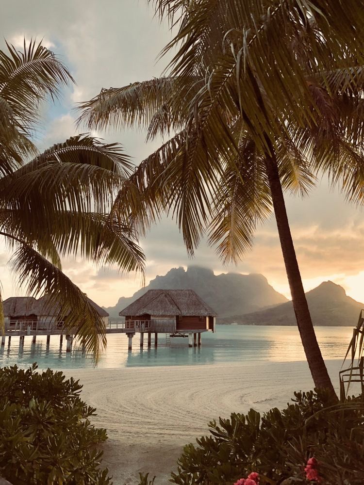 Welcome to Bora Bora 🏝