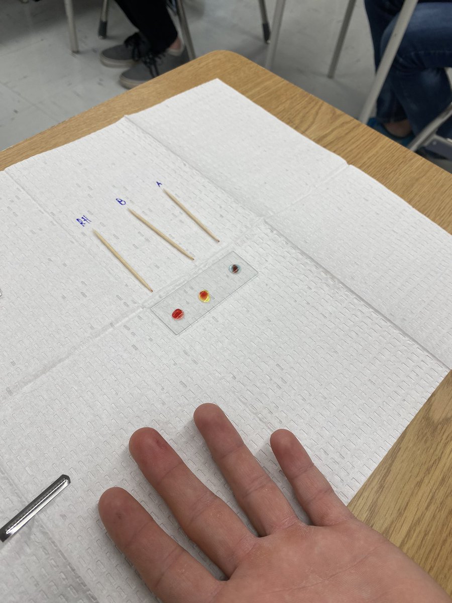 Do you know your blood type? Our grade 12 students are typing theirs today!