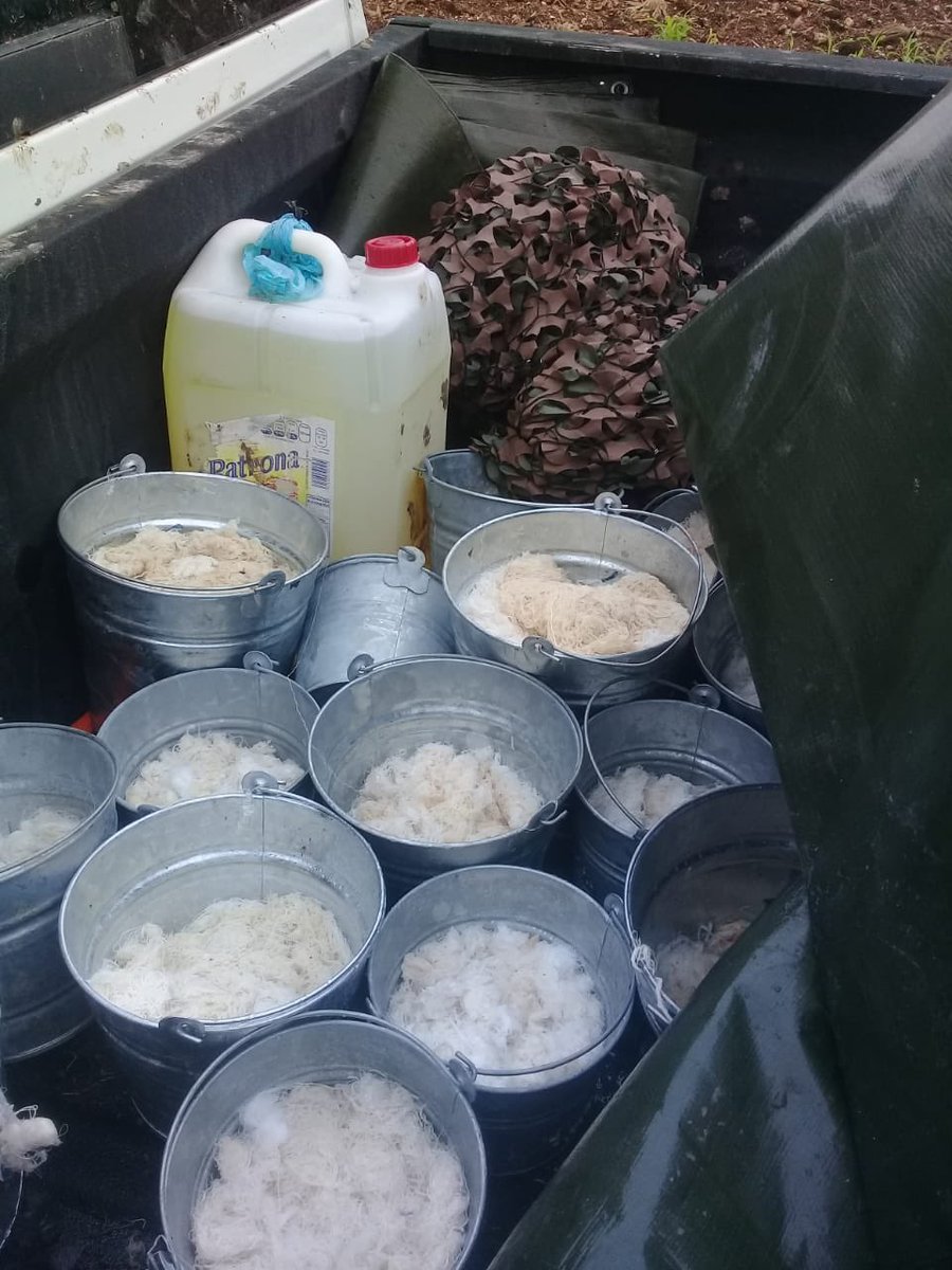 YaEsNoticiaMx's tweet photo. Encuentran vehículos encendidos y abandonados en #Salamanca #Bacalar #QuintanaRoo con artefactos para alumbrar en la noche. Esperaban la aeronave que aterrizó en el aeropuerto de #Chetunal SE PERDIERON Y NO LOGRARON LLEGAR
Información: @NoticiascnAngel https://t.co/ACOvDMAUQ1