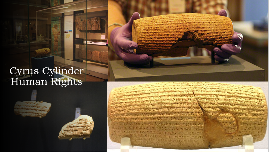 Helena Ava 🇺🇦 tweet media