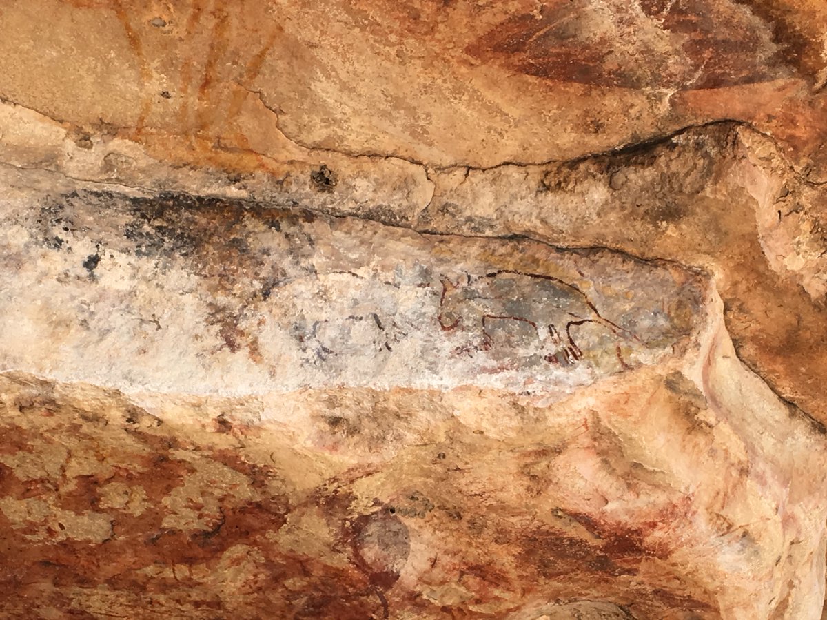 theAGA_org's tweet image. New #ConsGen post in the series by @HelenTaylorCG blog.theaga.org/a-devilishly-g… #conservation #JHered #AGABlog