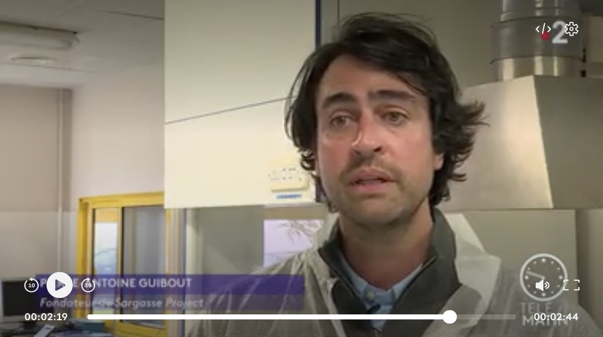 SargasseP's tweet photo. @SargasseP dans Télématin aujourd'hui, à revoir via le lien ci-dessous ! #sargasseproject @telematin 

https://t.co/XCp1mKxRR2 https://t.co/ZWRn2ESJMm