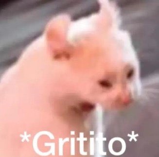 asami_writes's tweet photo. Acabo de ver dos faltas gramaticales que he cometido y mi pulgar se acerca peligrosamente a la opción de "eliminar tweet" https://t.co/N5s1OHMc28