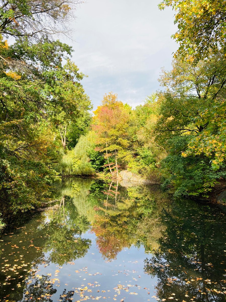 Dr. Yuan Lin (@YuanLin0121) | Twitter