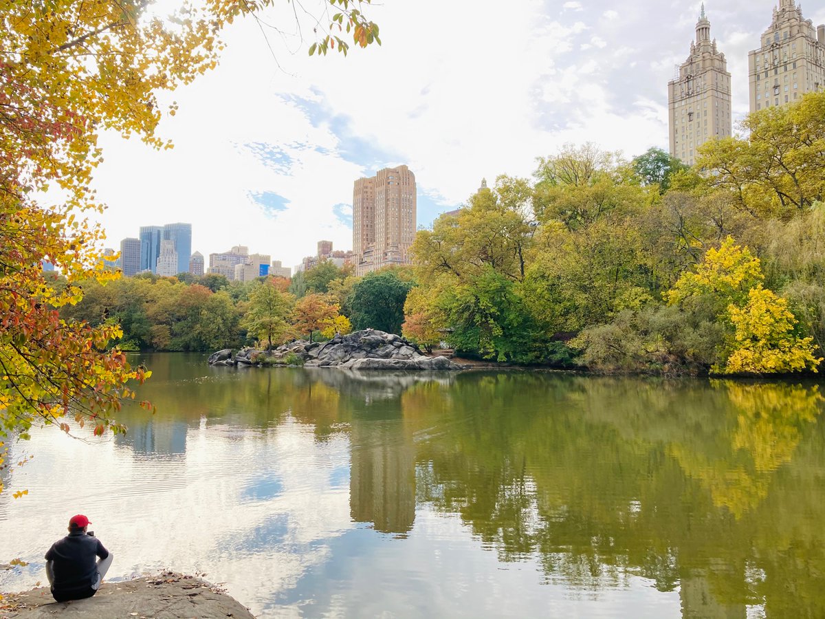 Dr. Yuan Lin (@YuanLin0121) | Twitter