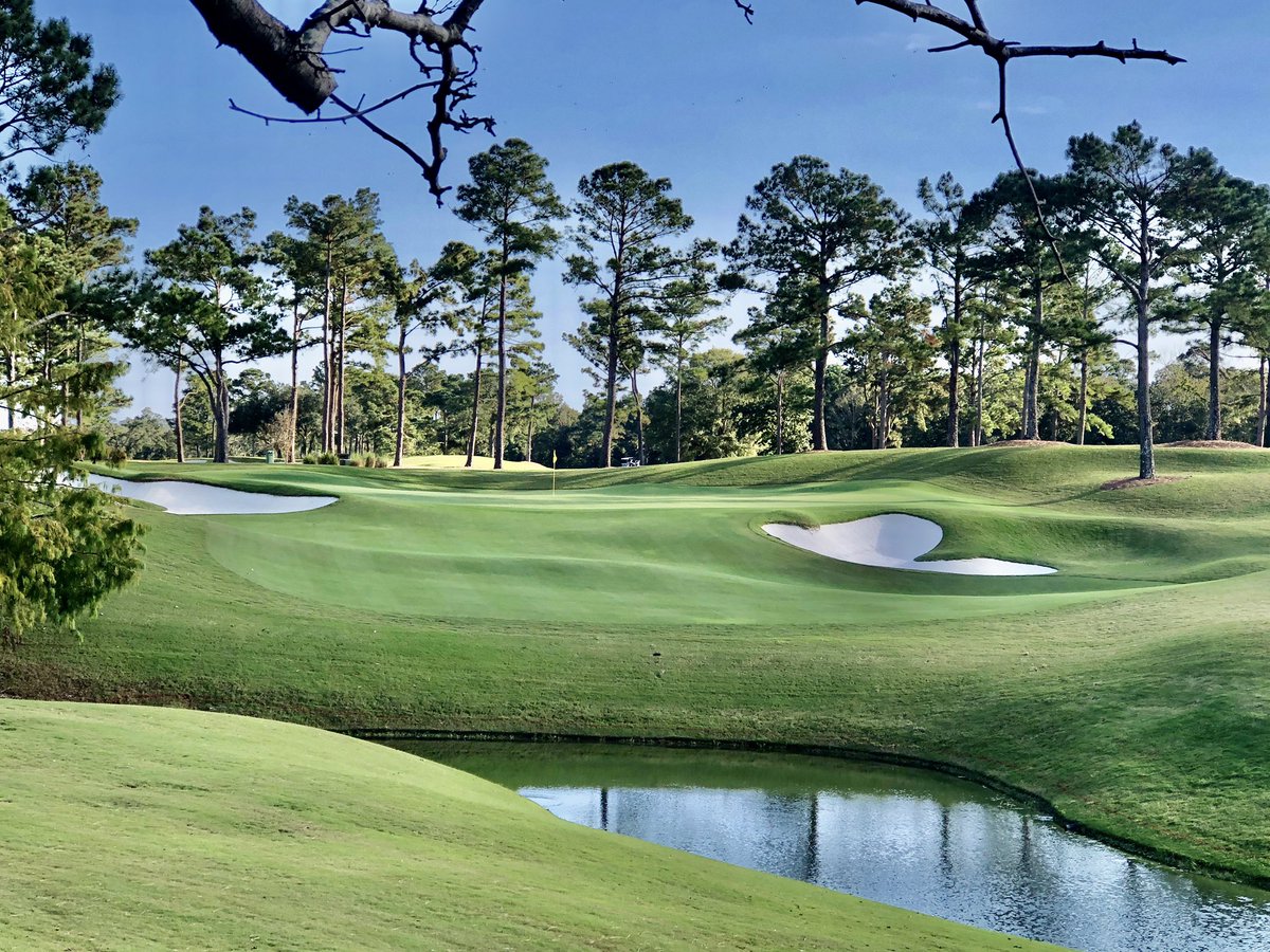 Sean Anderson tweet media