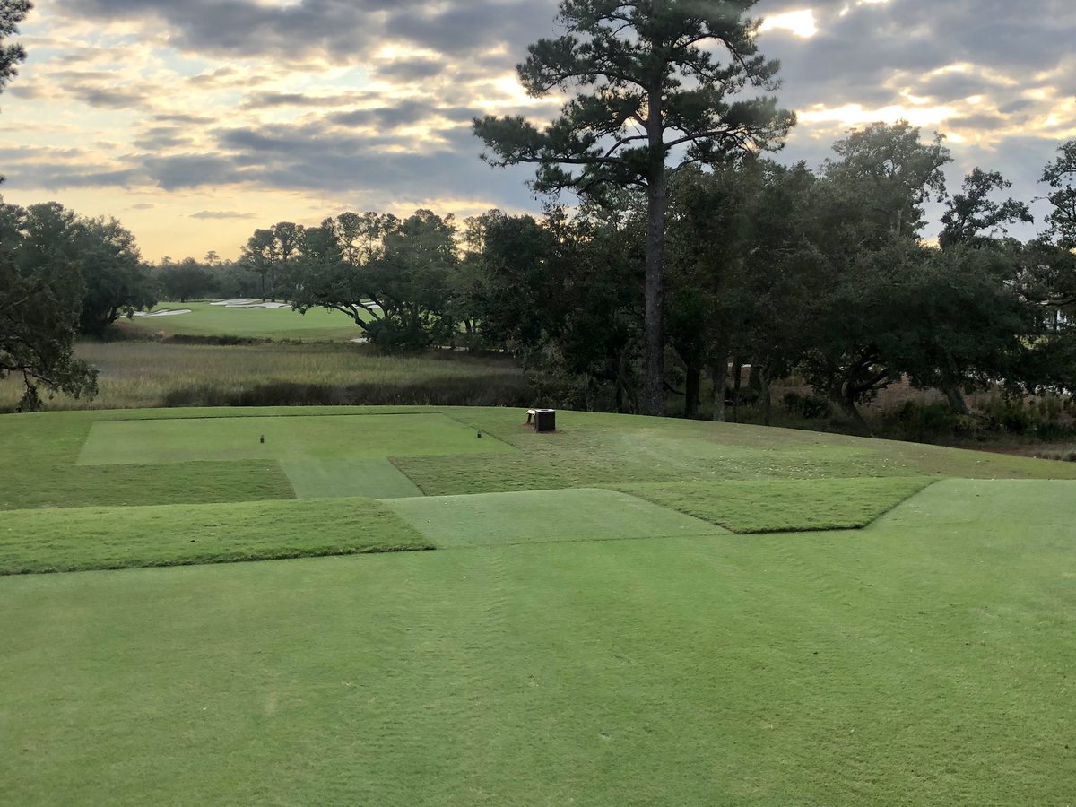 Sean Anderson tweet media