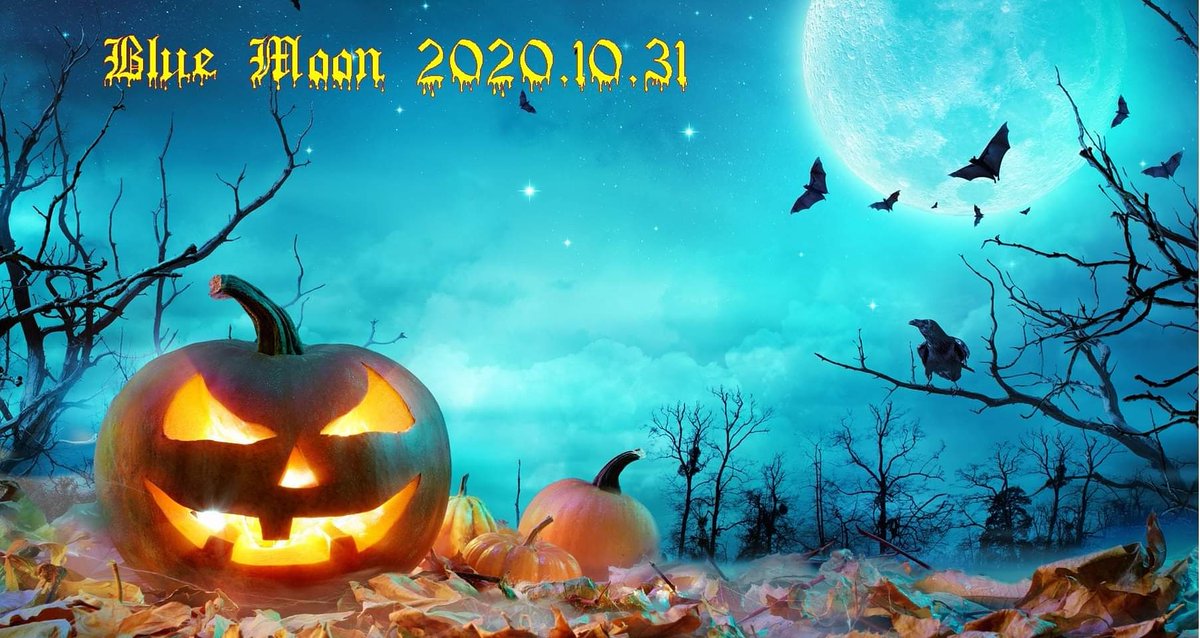 Yvonne Loveland (@vqmanagement) on Twitter photo 