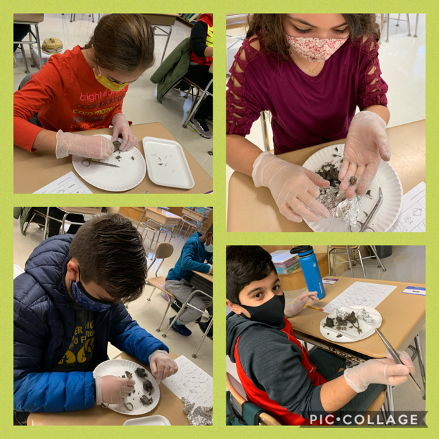 Owl pellet dissection in 5th grade. I wonder what those owls ate? ☠️🦉 #le58rocks #dg58learns #dg58pride