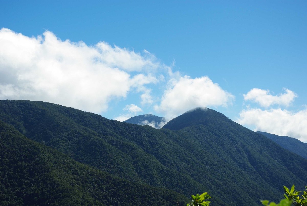 what is the name of the famous coffee from jamaica (hint: it’s named after this mountain)