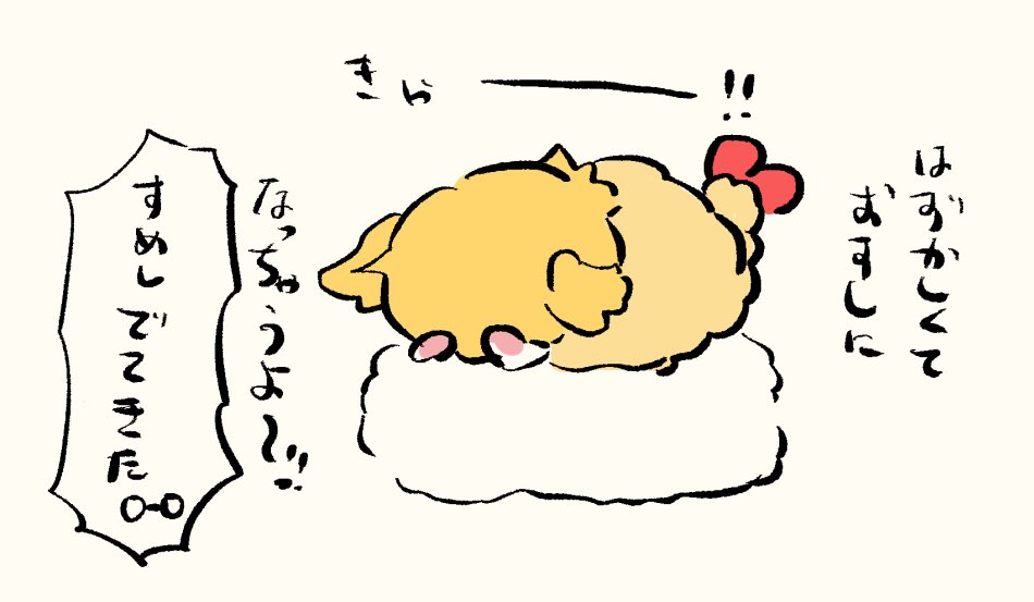 こちら、本日の??です 