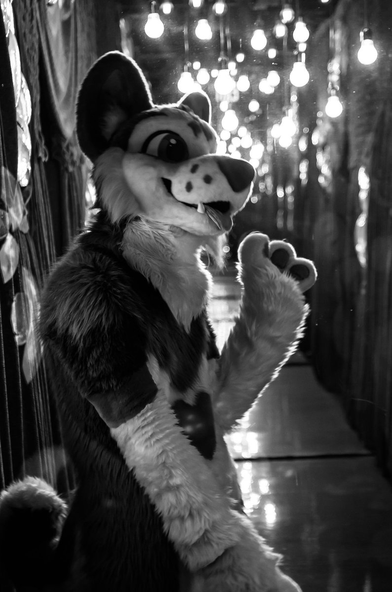 <a href="/ravertooth/">👑 Ravertooth</a> ⬛️⬜️⬛️⬜️⬛️ 📸<a href="/NotchRhino/">Notch Rhino</a> 🖤🤍