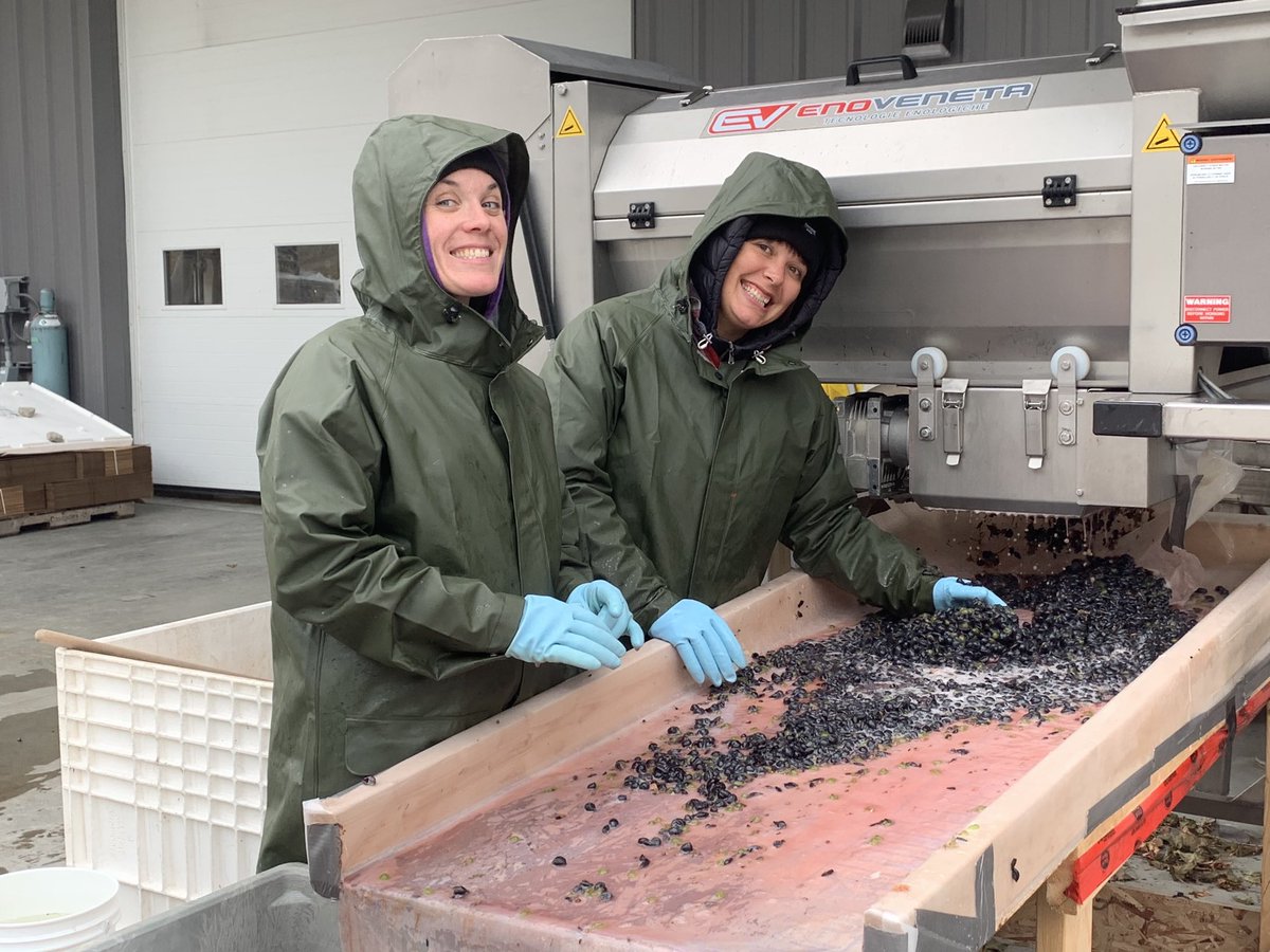 MikeClark_CdS's tweet photo. Picking, crushing and sorting @ClosduSoleil #Malbec on a cold, cold day in the #Similkameen Valley! #bcwine #similkameenwine #harvest2020 https://t.co/hIfM6KsJMm