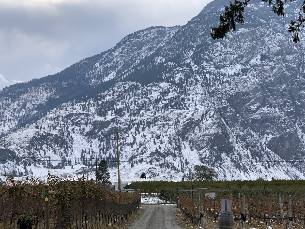 MikeClark_CdS's tweet photo. Picking, crushing and sorting @ClosduSoleil #Malbec on a cold, cold day in the #Similkameen Valley! #bcwine #similkameenwine #harvest2020 https://t.co/hIfM6KsJMm