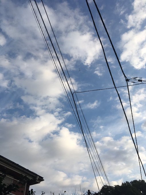 いーい雲だーって撮ってたら女の人にクスリと笑われてドキドキしました 