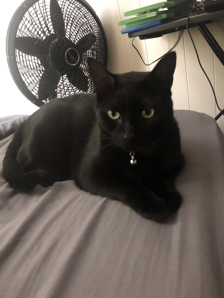 Always such a handsome man