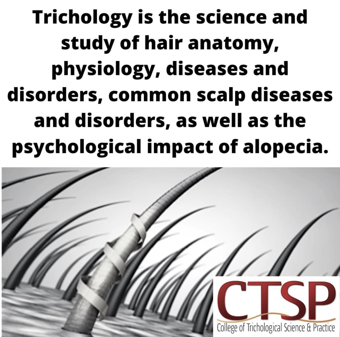 Interested in finding out more about studying this fascinating subject? Join us on Sunday evening at 7pm us02web.zoom.us/meeting/regist…