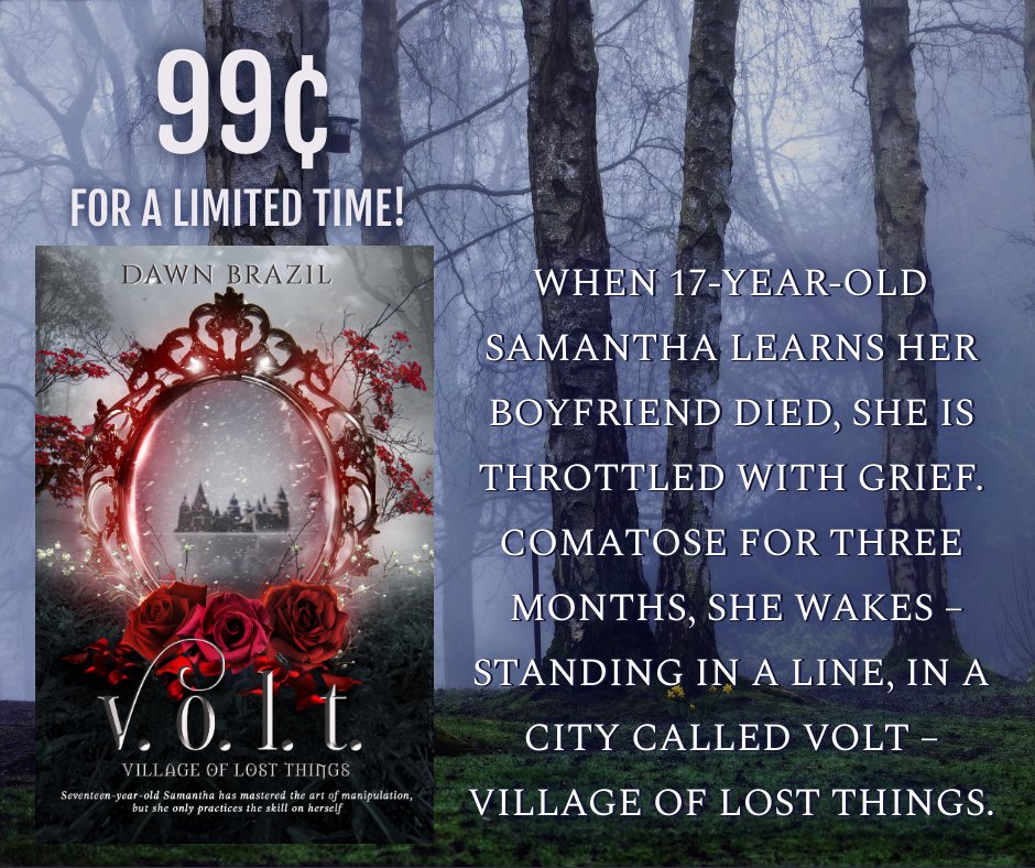 FABookBargains's tweet photo. 🏰 17-year-old Samantha has mastered the art of manipulation, but she only practices the skill on herself.🏰
1-click today! https://t.co/po9SggyHmC
#99cents for a limited time! Free with #KindleUnlimited!

#amreading #amreadingfantasy #yareads #bookbloggers https://t.co/nAeAOt90yw