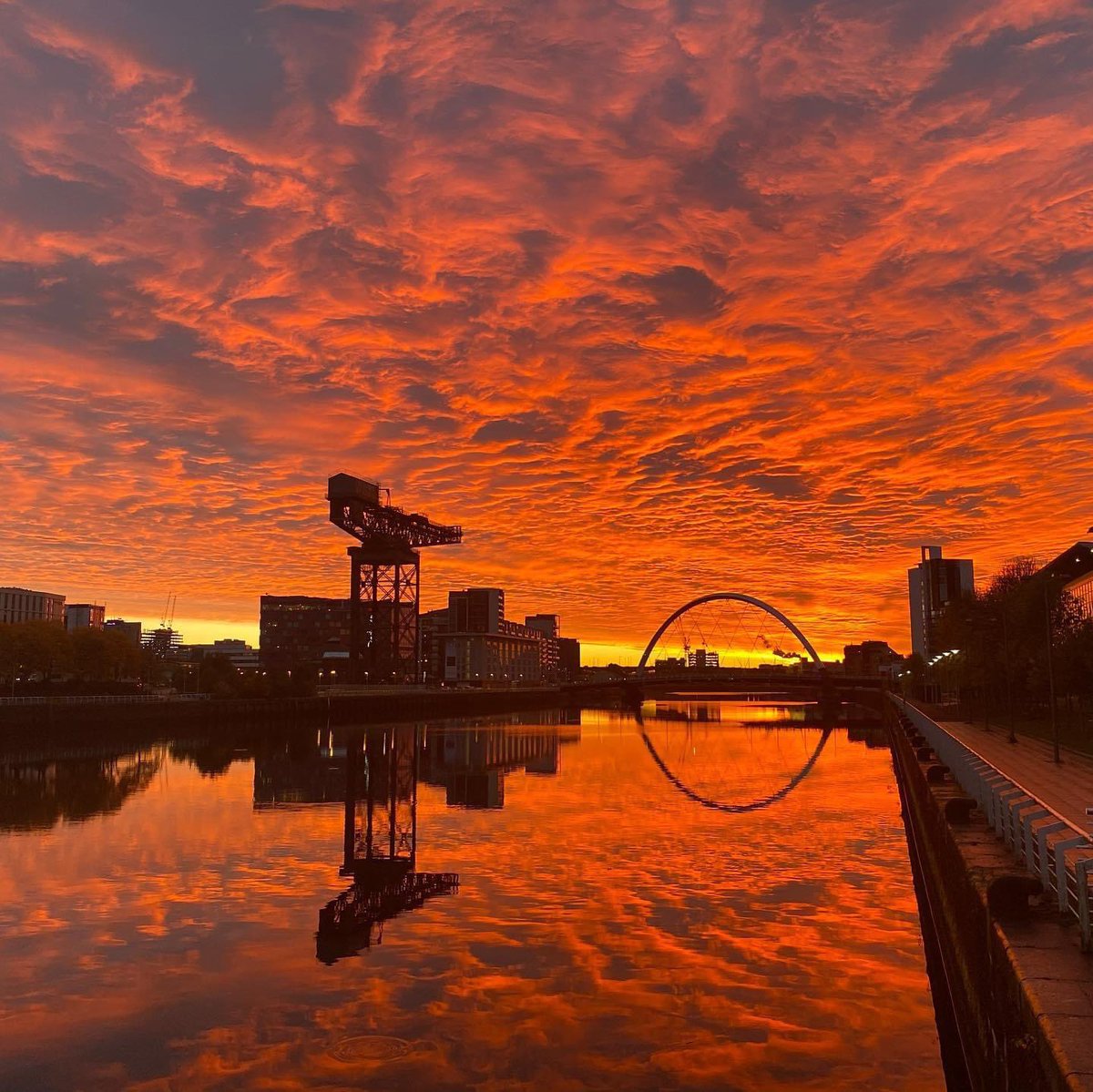 ʀʏᴀɴ ᴍᴄᴄʀᴀɴ tweet media