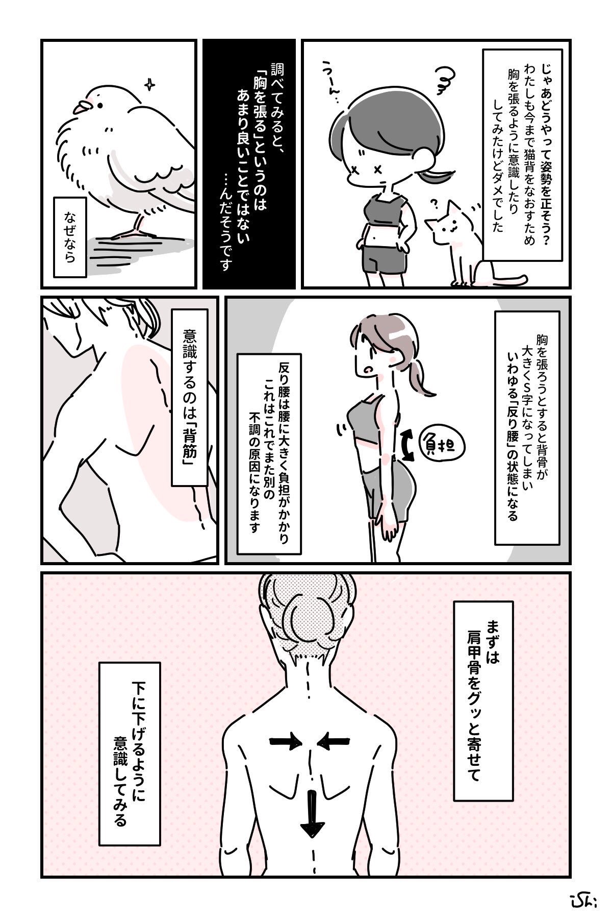 いしかわひろこ 筋肉ゼロでもできるズボラゆるトレ 毎週火曜更新中 On Twitter おはようございます 今日も寒いな 健康の第一歩は正しい姿勢から 胸を張るのではなく 肩甲骨を寄せてさげる 骨盤を立たせる イメージでやってみてね 今日もがんばりましょ